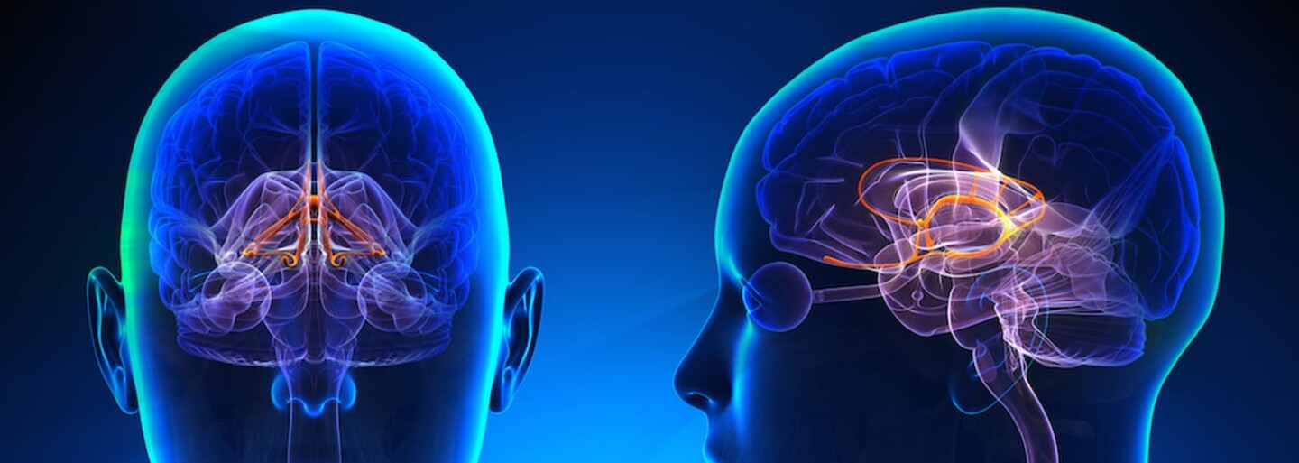 Počítač analyzujúci snímky mozgu lepšie ako skúsený lekár? Vďaka mladému slovenskému doktorandovi to môže byť onedlho realita