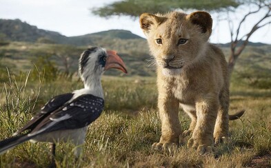 Pokračování Lvího krále natočí režisér oscarového Moonlight Pokračování Lvího krále natočí režisér oscarového Moonlight