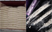 Policajti v Taliansku zhabali 4,3 tony kokaínu. Na čiernom trhu má hodnotu 240 miliónov eur