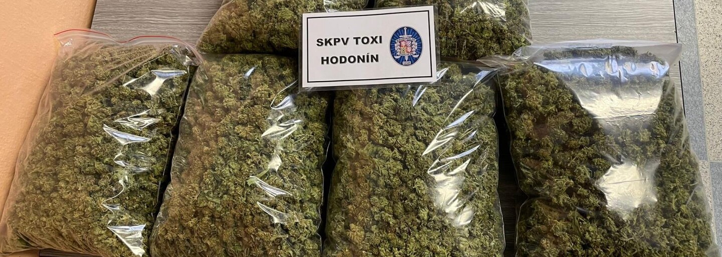 Policie na Hodonínsku odhalila 10 pěstíren marihuany. Osmi lidem hrozí až deset let vězení