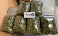 Policie na Hodonínsku odhalila 10 pěstíren marihuany. Osmi lidem hrozí až deset let vězení