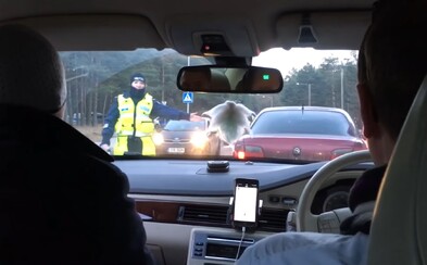 Policisté v Estonsku si nevšimli volantu na pravé straně a dali tak dýchnout spolujezdci místo řidiče Policisté v Estonsku si nevšimli volantu na pravé straně a dali tak dýchnout spolujezdci místo řidiče