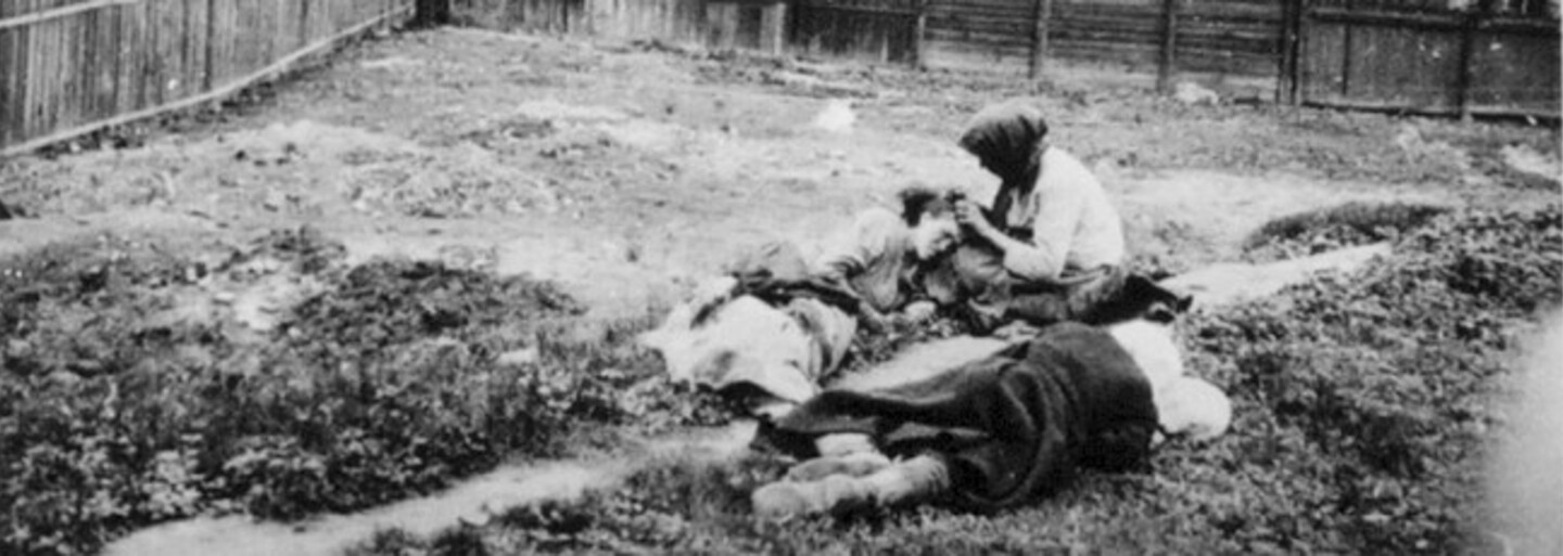Poslanci uznali hladomor na Ukrajině, organizovaný stalinistickým režimem, za genocidu 