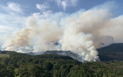 Požár národního parku České Švýcarsko může přispět ke změnám zákona o požární ochraně 