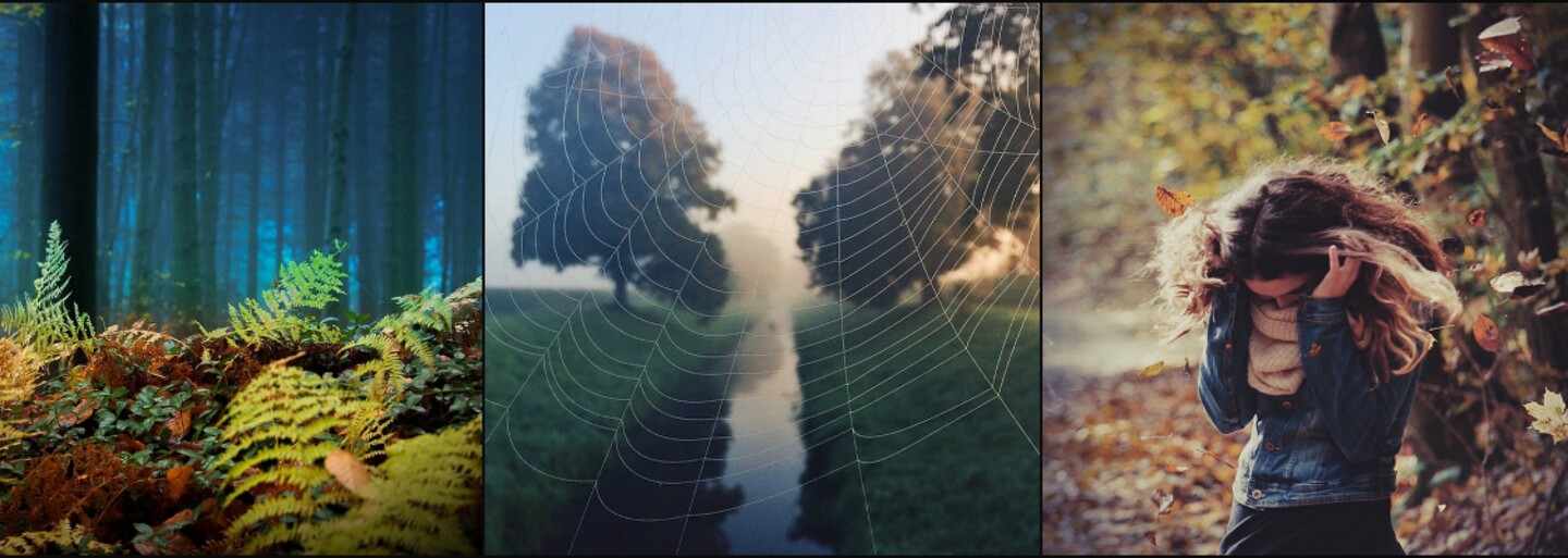 Precítené fotografie populárnej fotografky z Česka. Na instagrame ju sleduje 60 000 ľudí
