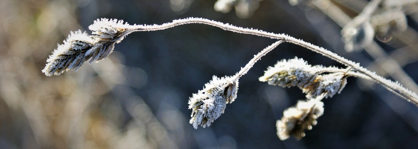 Předpověď počasí: V Česku bude až 13 °C, pak se zase ochladí
