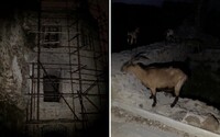 Prespali sme na hrade Šášov: Dobrovoľníci tu počuli plač detí a odfotili nevysvetliteľné siluety (Reportáž)