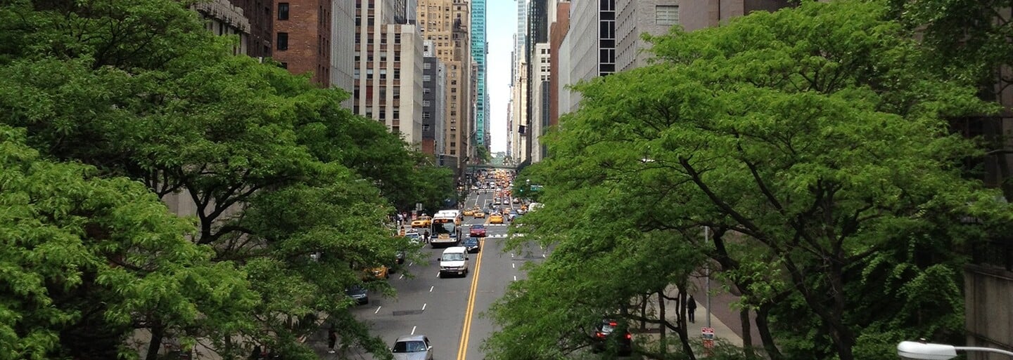 Průvodce po New Yorku: Co zaručeně musíš vidět a čemu se na Manhattanu raději vyhnout?