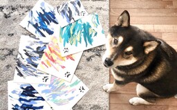 Psík shiba-inu kreslí obrazy. Jeden stojí 65 dolárov a ľudia sa o ne idú potrhať