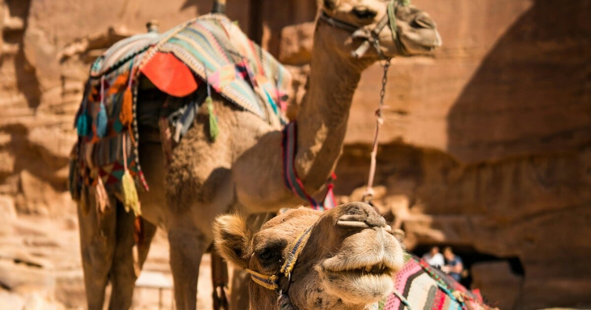 Botox a silikony jako diskvalifikace ze soutěže krásy? V Ománu ano, ale ne jak si myslíš