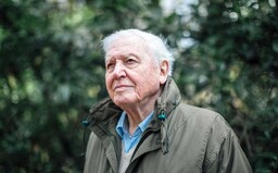 Recenzia: A Life on Our Planet je zatiaľ najlepším „hororom“ roku 2020. Upozorňuje ľudstvo na to, aby sa spamätalo