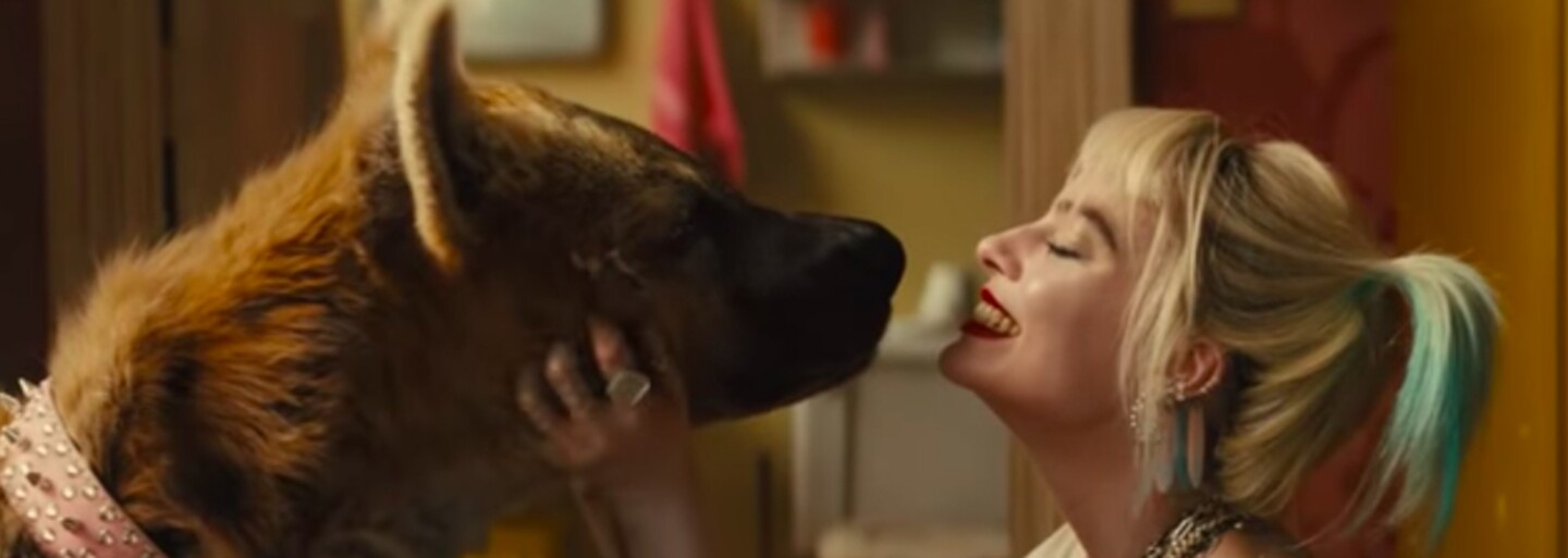 Recenzia: Birds of Prey je sólovým filmom Harley Quinn, ktorý divákovi nemá vôbec čo ponúknuť