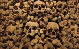 Report From an Underground Realm of the Dead. Thousands of Human Bones in an Ossuary Discovered by Accident.