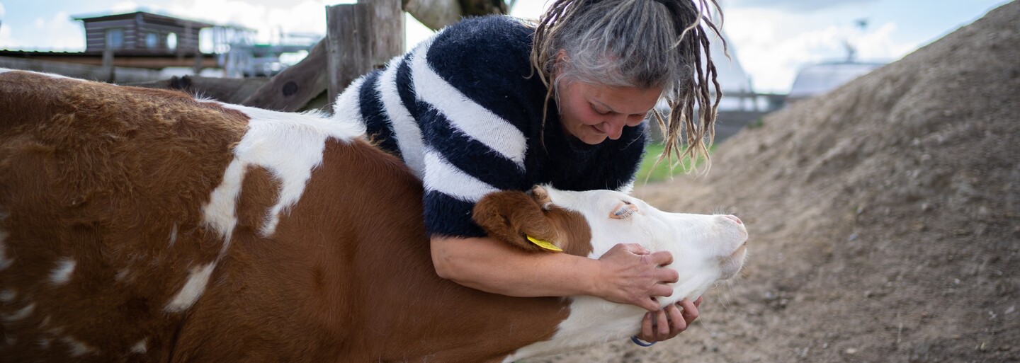 Reportáž: 120 zachráněných zvířat a my. Vítej na veganské farmě