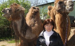 Riaditeľka ZOO: Keď nastupovala, museli zastreliť tigricu. Aké je pracovať medzi zvieratami a prečo je medveď Felix sám (Rozhovor)