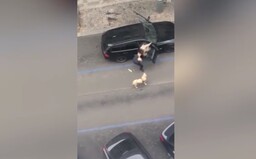 Řidič Boltu vyhodil nevidomou z auta. Společnost jí nabídla 20 jízd zdarma jako kompenzaci