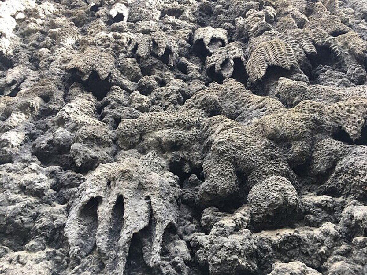 dripstone wall