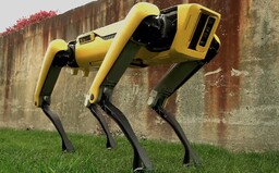 Robotického psa si už firmy mohou objednat. Netflix z něj udělal krvelačnou bestii