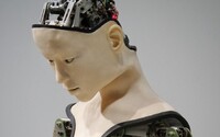 Roboty sa môžu správať sexisticky a rasisticky, ukázal nový výskum. Stačia im údaje používateľov z internetu