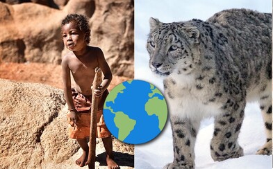 Rok 2017 bol plný aj dobrých správ. Z Afriky mizne HIV, detskej práce je čoraz menej a snežný leopard už nie je ohrozený Rok 2017 bol plný aj dobrých správ. Z Afriky mizne HIV, detskej práce je čoraz menej a snežný leopard už nie je ohrozený
