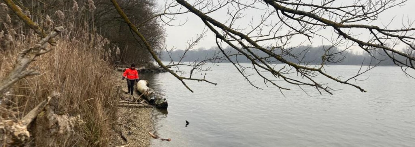 Rozhovor s dobrovoľnými záchranármi, ktorí pátrali po Terézii: „Musíme zachraňovať životy predtým, ako je neskoro.“