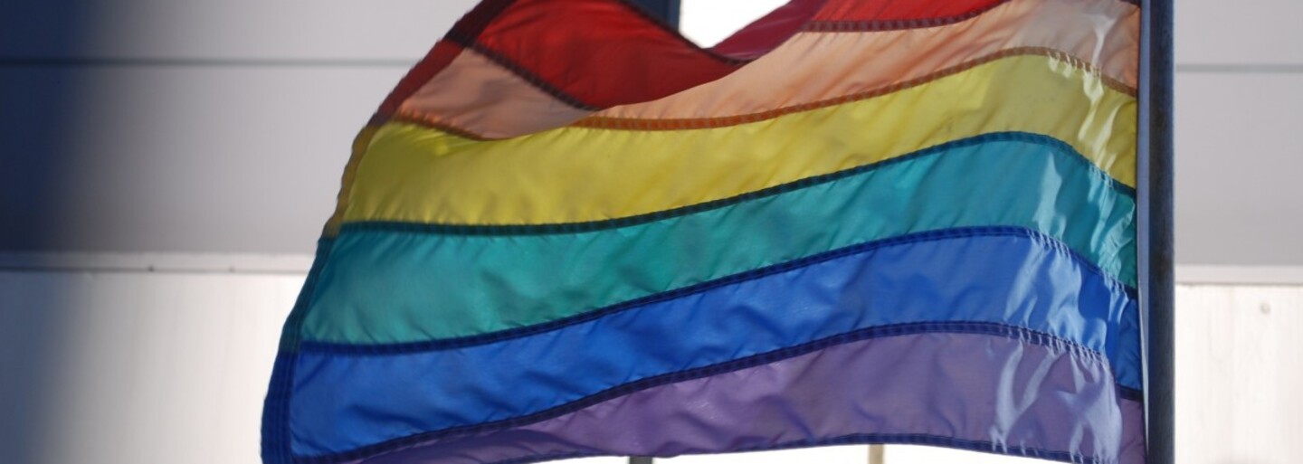 Ruská webstránka podnecuje užívateľov k prenasledovaniu a mučeniu homosexuálov