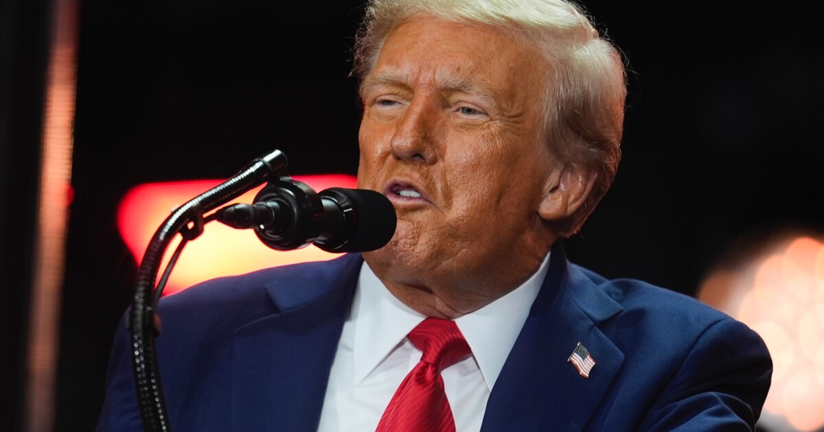 Trump příkazem označil Antifu za „domácí teroristickou organizaci“. Jak je to ve skutečnosti?