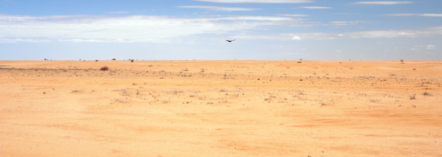 Sahara sa zväčšila o 10 percent a ľuďom mizne úrodná pôda. Budúcnosť prinesie klimatických utečencov