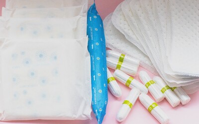 Scotland Approved Free Menstrual Supplies. Pads And Tampons Will Be Available In Public Buildings