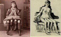 Sex preferovala cez pravý pohlavný orgán, otehotnela ale cez ľavý. Štvornohá Myrtle premenila svoj hendikep na peniaze