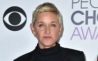 Show Ellen DeGeneres končí. Moderátorka vysvětlila, proč už v pokračování nevidí smysl 
