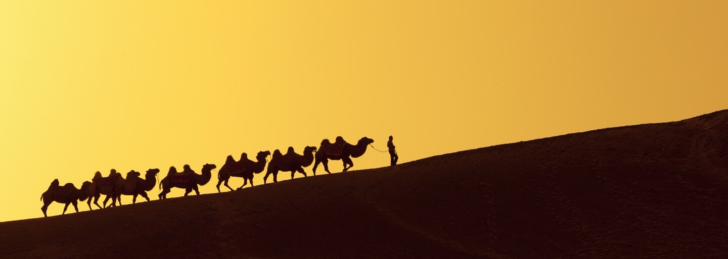 Silk Road – online tržiště, kde seženete vše, od drog až po samopal nebo nájemnou vraždu