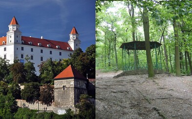 Skončí sa výrub v bratislavských lesoch? Mestský lesopark by sa mal stať novým národným parkom Skončí sa výrub v bratislavských lesoch? Mestský lesopark by sa mal stať novým národným parkom