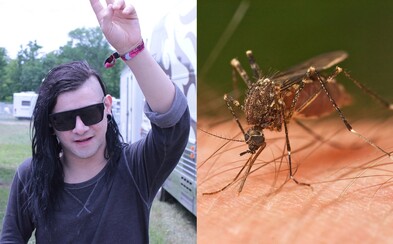 Skrillex jako repelent: Vědecká studie prokázala, že dubstep odrazuje komáry Skrillex jako repelent: Vědecká studie prokázala, že dubstep odrazuje komáry
