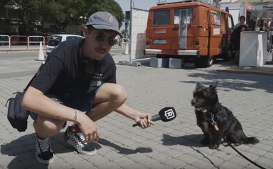 Slováci obľubujú, keď sa od okolia odstrihnú vďaka slúchadlám. Počúvajú Gleba, Lauryn Hill, XXXTentaciona či Šajma Slováci obľubujú, keď sa od okolia odstrihnú vďaka slúchadlám. Počúvajú Gleba, Lauryn Hill, XXXTentaciona či Šajma