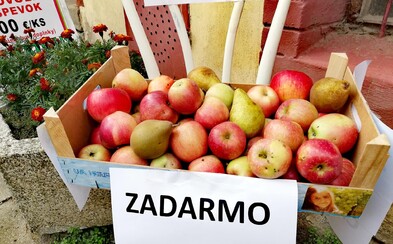 Slováci vo veľkom začali rozdávať svoje jablká zadarmo. Inšpirácia z Nórska dokonca neprišla prvá Slováci vo veľkom začali rozdávať svoje jablká zadarmo. Inšpirácia z Nórska dokonca neprišla prvá