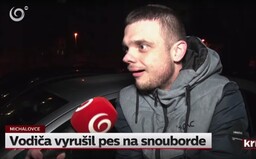 Slovák narazil do cudzieho auta. Vyhovoril sa na psa na snowboarde, ktorý mu prepol pesničku a on sa zľakol