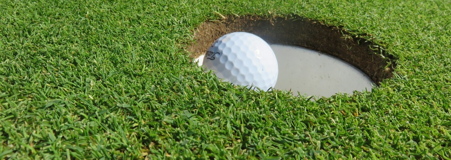 Slovenské diviaky vyorali golfové ihrisko pod Tatrami. Zničili plochu veľkú ako 5 futbalových ihrísk