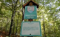 Slovensko bude mať prírodnú rezerváciu Pralesy Slovenska. Bude v nej platiť piaty stupeň ochrany