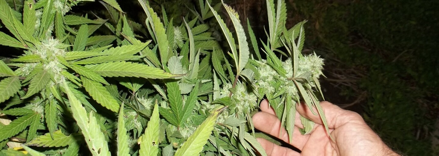 Snoop Dogg si šiel zafajčiť marihuanu rovno pred Biely dom. Posedával na lavičke a vychutnával si blunt