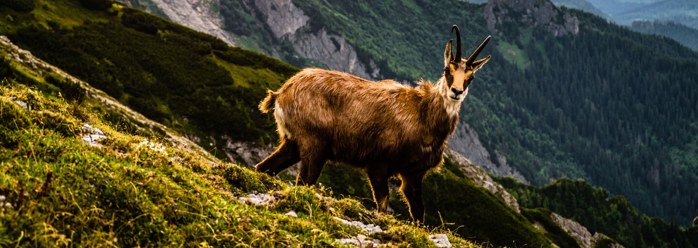 Soňa a Matej na Instagrame odhaľujú vzrušujúce zákutia Slovenska. Dvaja mladí ľudia poznajú skvelé tipy na zážitky aj jedlo