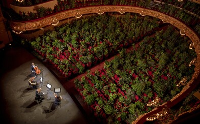 Španělská opera uspořádala první koncert po koronavirové krizi. V hledišti však byly pouze fíkusy a palmy pro zdravotníky Španělská opera uspořádala první koncert po koronavirové krizi. V hledišti však byly pouze fíkusy a palmy pro zdravotníky