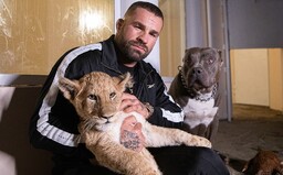 Speciální silvestrovské sázky: Přihlásí se Karlos Vémola do Svatby na první pohled? A přestane Miloš Zeman kouřit?