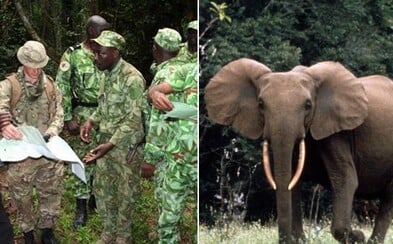 Spojené království vyslalo do Afriky vojáky, aby ochránili ohrožené slony před pytláky. Trénují místní strážce, jak je bránit Spojené království vyslalo do Afriky vojáky, aby ochránili ohrožené slony před pytláky. Trénují místní strážce, jak je bránit