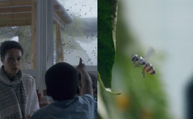 Stane se děsivá část Black Mirror realitou? Robotické včely si chce patentovat společnost Walmart, ale lidé se bojí špionáže Stane se děsivá část Black Mirror realitou? Robotické včely si chce patentovat společnost Walmart, ale lidé se bojí špionáže