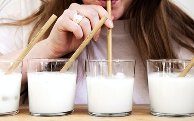 Starověcí Evropané měli intoleranci na laktózu, ale podle studie mléko pili, i když se jim po něm dělalo zle