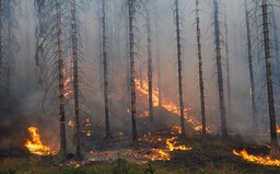 Stát uvažuje o pořízení letadla na hašení lesních požárů. Počasí se mění, přiznejme si to, řekl Rakušan