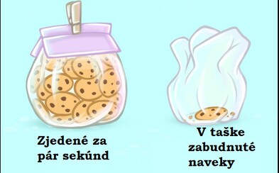 Židle místo skříně nebo ztrácení ponožek: Platí tato zábavná ilustrovaná domácí pravidla i na tebe? Židle místo skříně nebo ztrácení ponožek: Platí tato zábavná ilustrovaná domácí pravidla i na tebe?