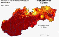 Sucho zasahuje takmer 60 percent Slovenska. V okrese Nové Zámky bude pre veľké riziko vzniku požiarov zakázaný vstup do lesov