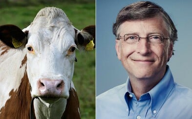 Superkráva, která ukončí klimatické změny i hladomor? Pokrokový výzkum vzbuzuje kontroverzi, ale podporuje ho i Bill Gates Superkráva, která ukončí klimatické změny i hladomor? Pokrokový výzkum vzbuzuje kontroverzi, ale podporuje ho i Bill Gates